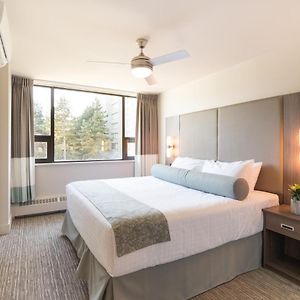 One-Bedroom King Suite